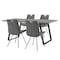 Armen Living Coronado 5 Piece Gray Rectangular Dining Set SETCDDI5PCGR - alternate 1